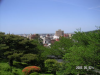 s_pict0111_thumb.png